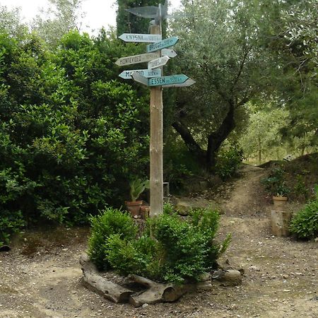 Casa Rural Torre De Campos Ainzon Dış mekan fotoğraf